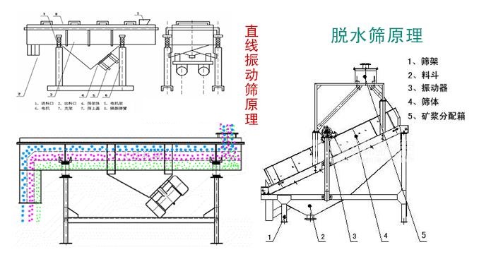 脫水篩和直線振動(dòng)篩有啥不同